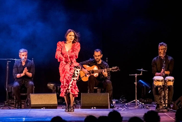 Flamenco con toque sirio