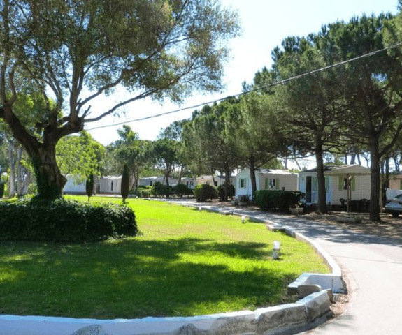 Mobile homes in camping Gavá