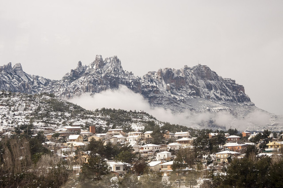 Montserrat with a snowy coat in 2018, photo by Eder Pozo Pérez.