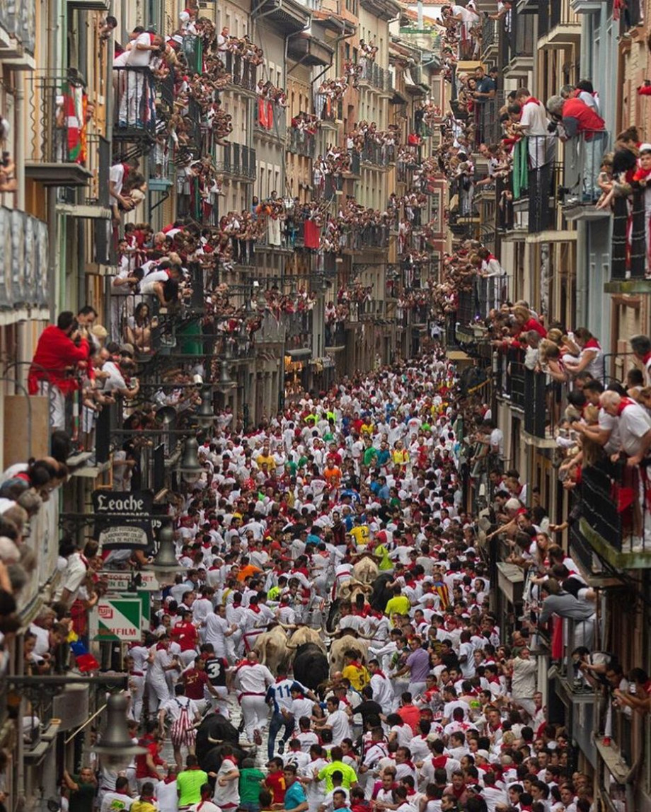 Bulls running through the streets of Pamplona.