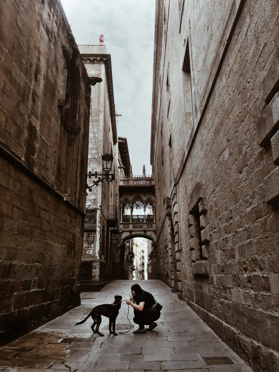 Student with dog in Barcelona.