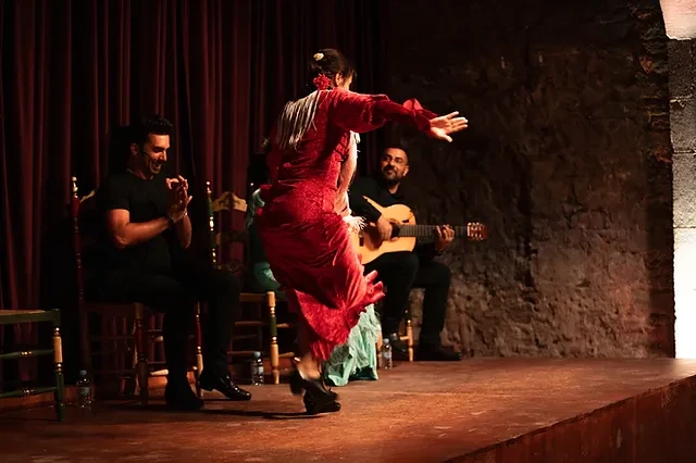 Flamenco Show