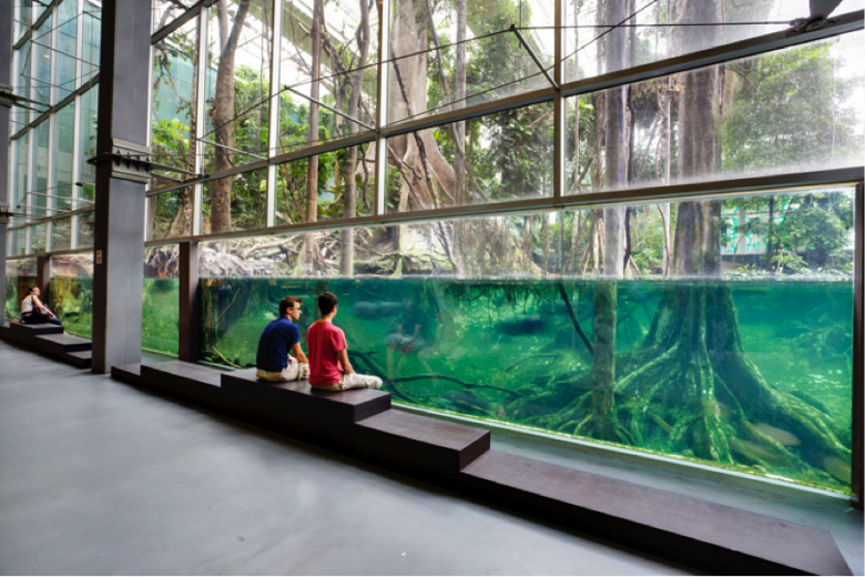 Science Museum Cosmocaixa