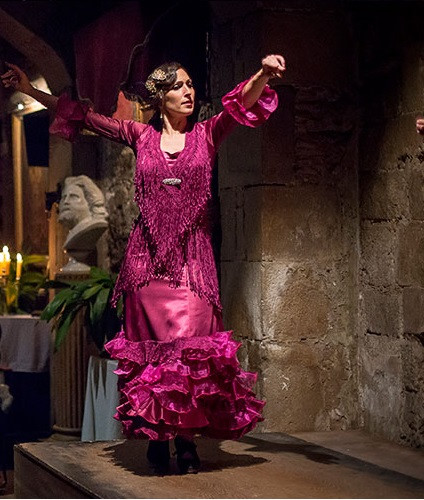 Flamenco Show