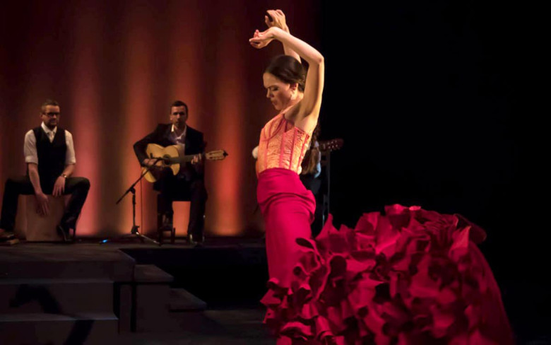 Flamenco Show
