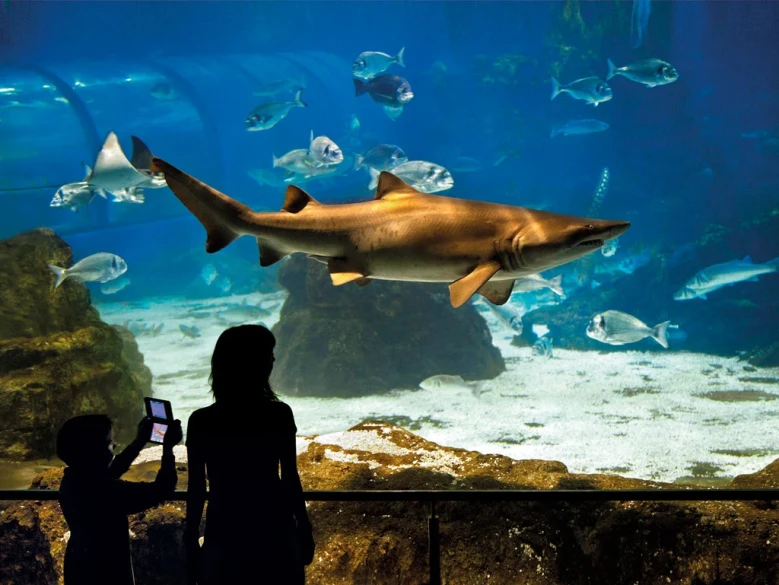 Barcelona Aquarium